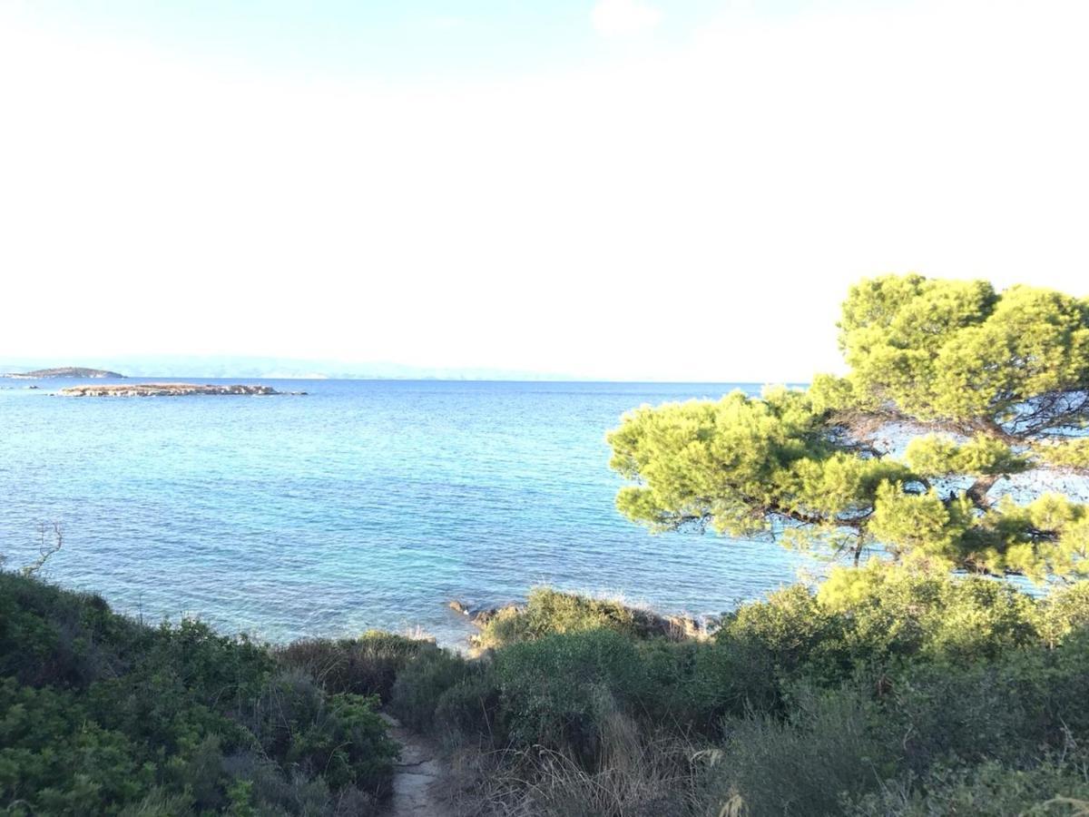 Makis Nest Apart-Hotel Vourvourou Bagian luar foto